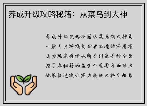 养成升级攻略秘籍：从菜鸟到大神